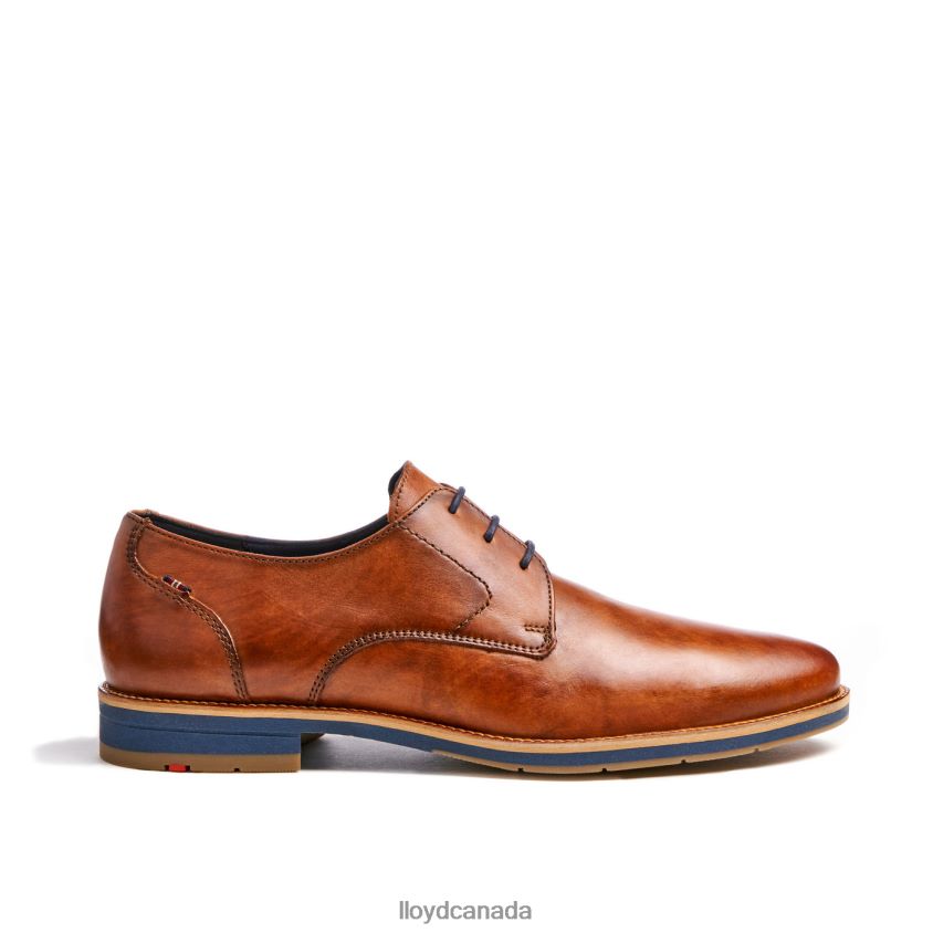 LANGSTON LLOYD Men brown R084ZF27 Shoes