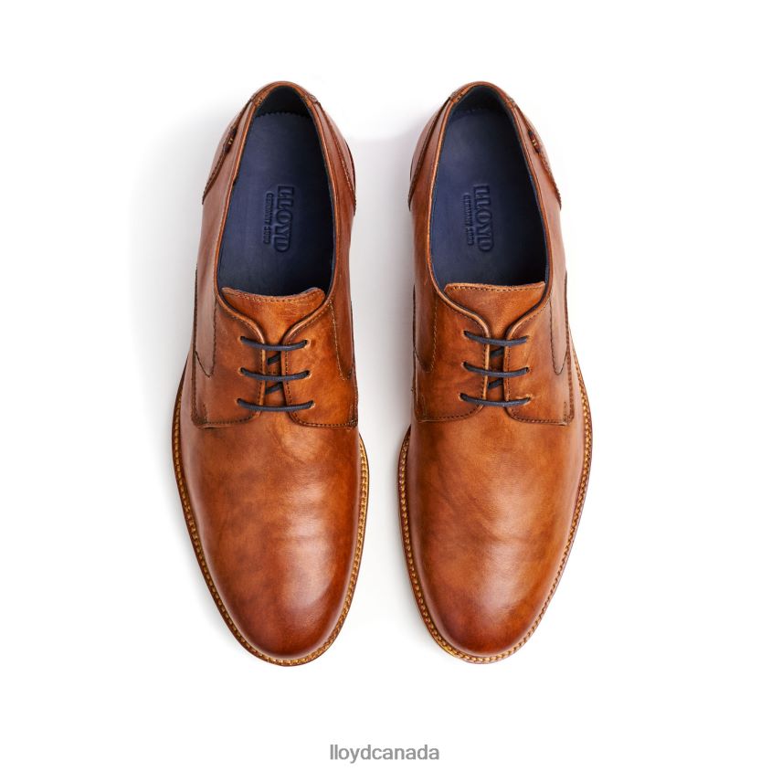 LANGSTON LLOYD Men brown R084ZF27 Shoes