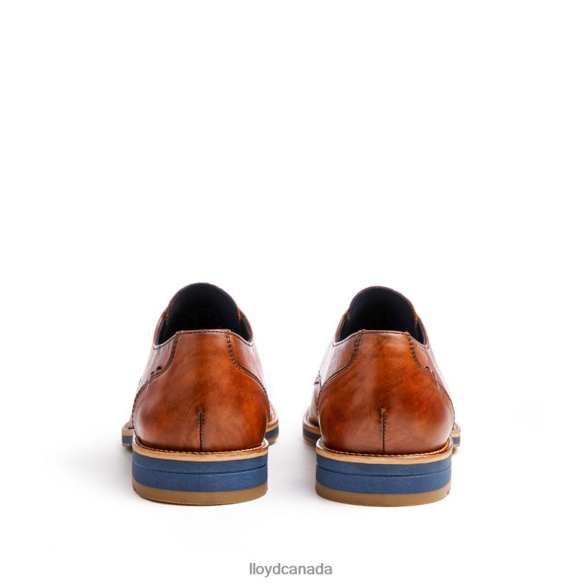 LANGSTON LLOYD Men brown R084ZF27 Shoes