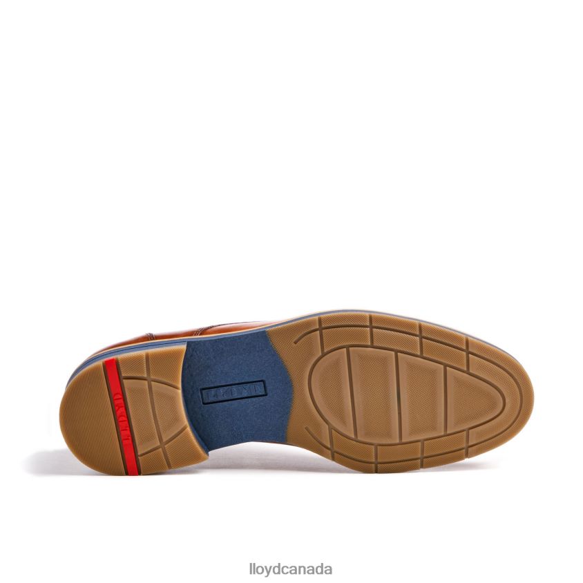 LANGSTON LLOYD Men brown R084ZF27 Shoes