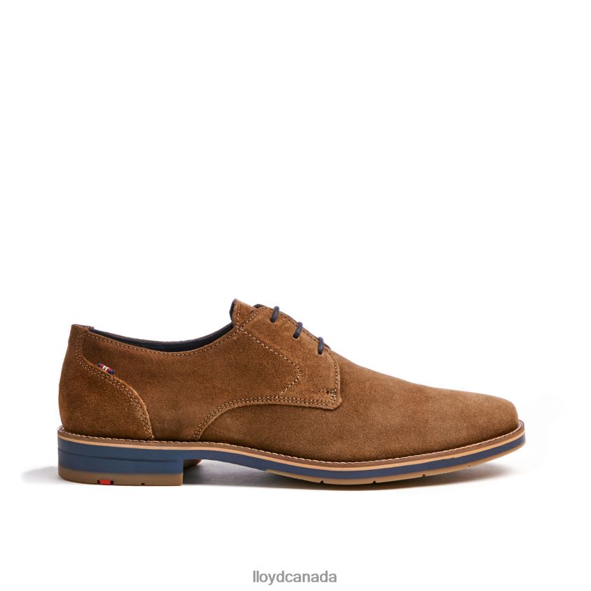 LANGSTON LLOYD Men brown R084ZF88 Shoes
