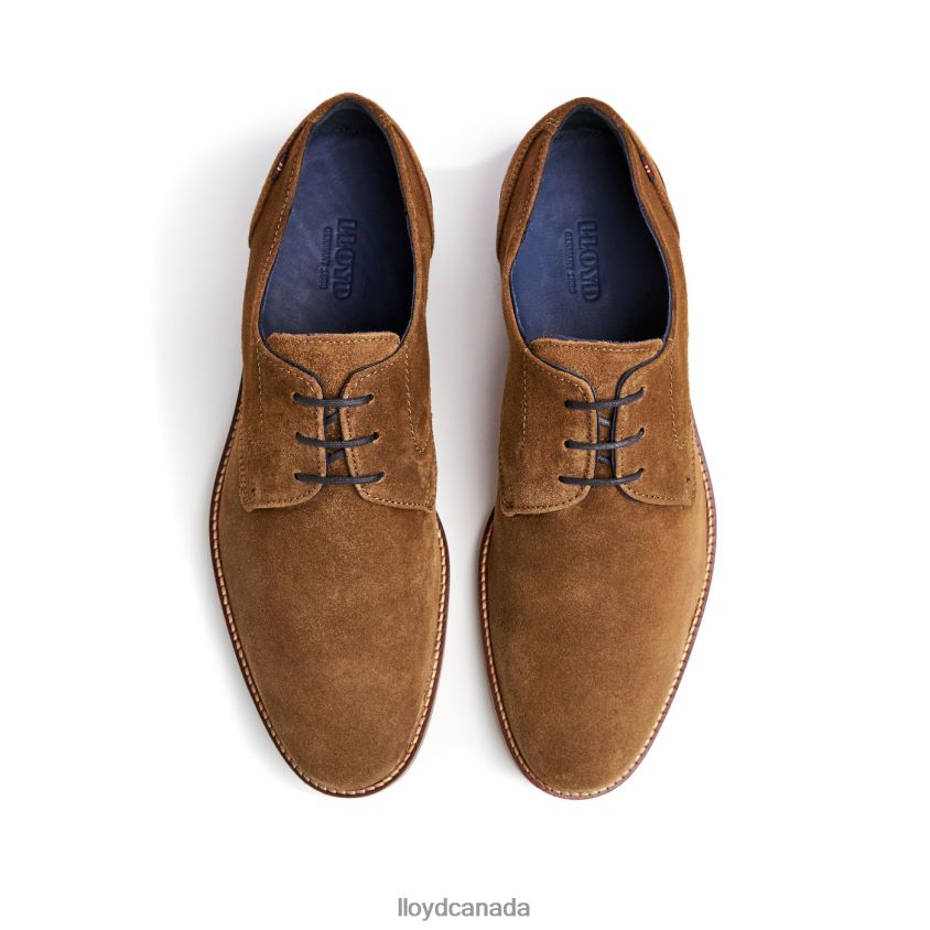 LANGSTON LLOYD Men brown R084ZF88 Shoes