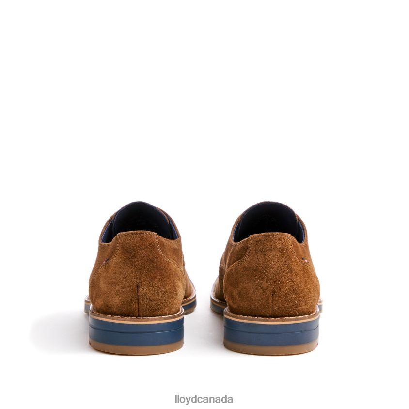 LANGSTON LLOYD Men brown R084ZF88 Shoes