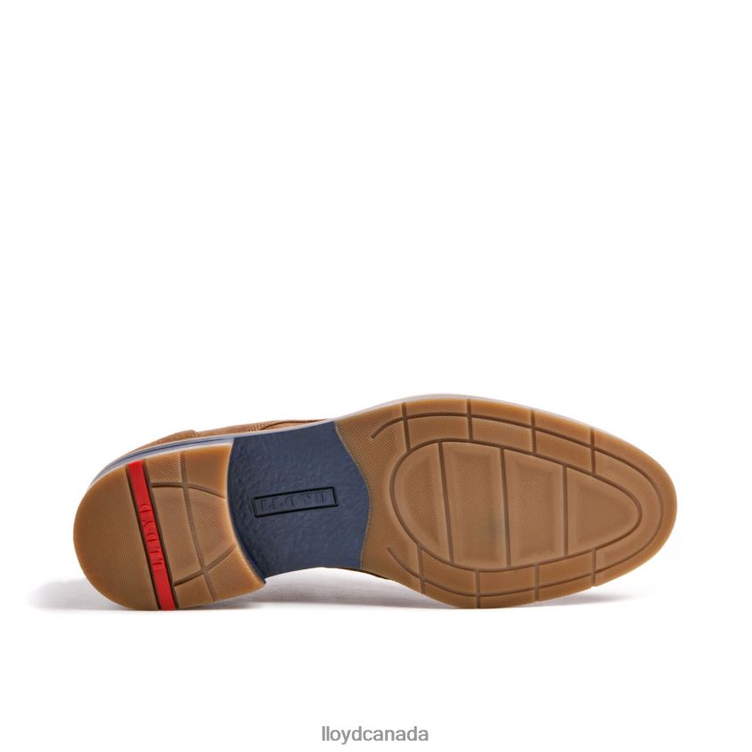LANGSTON LLOYD Men brown R084ZF88 Shoes
