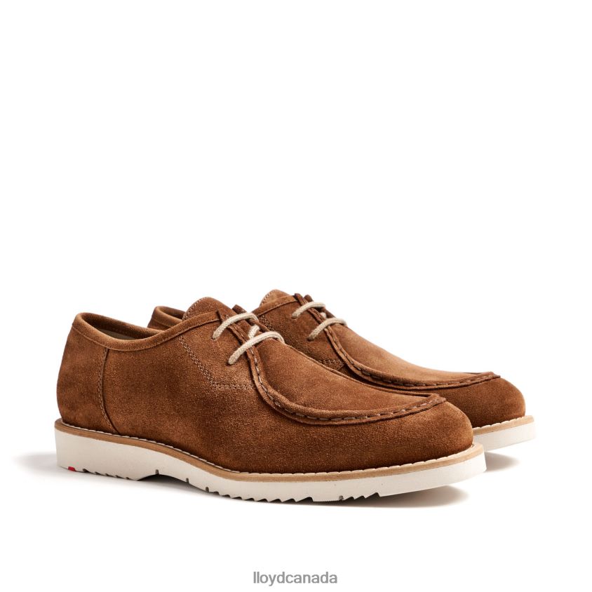 LEVI LLOYD Men brown R084ZF210 Shoes