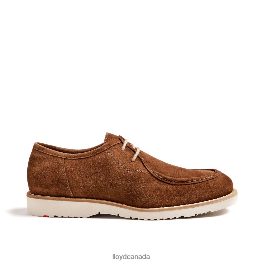 LEVI LLOYD Men brown R084ZF210 Shoes
