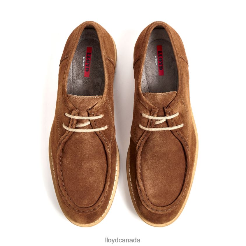 LEVI LLOYD Men brown R084ZF210 Shoes