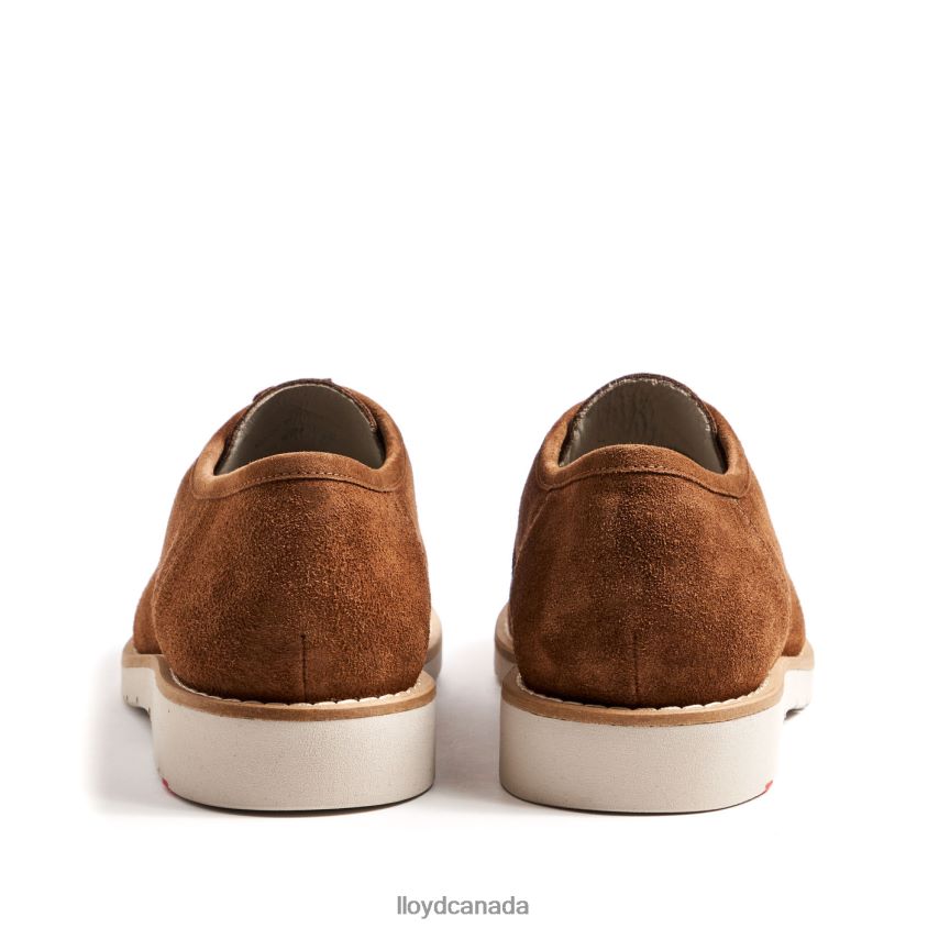LEVI LLOYD Men brown R084ZF210 Shoes