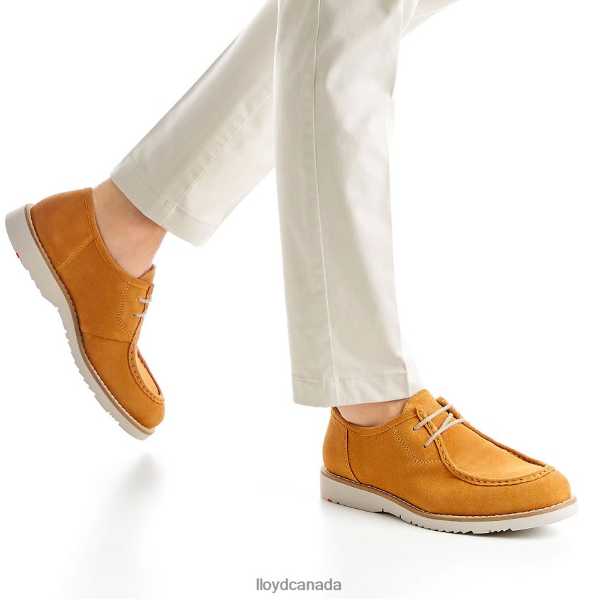 LEVI LLOYD Men yellow R084ZF1322 Shoes