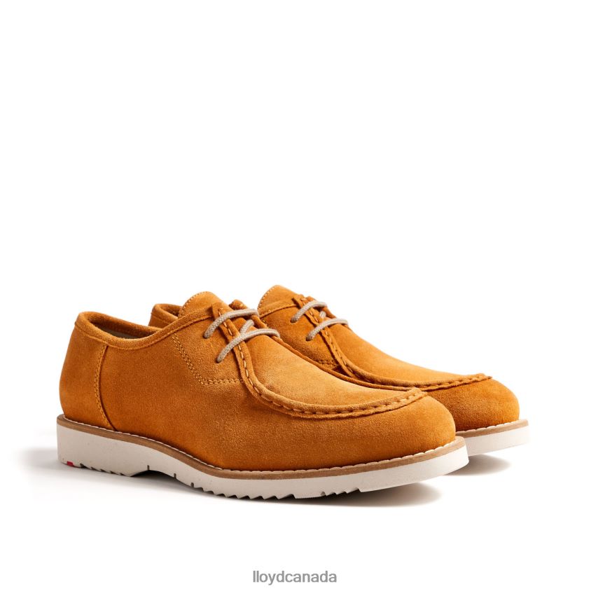 LEVI LLOYD Men yellow R084ZF1322 Shoes