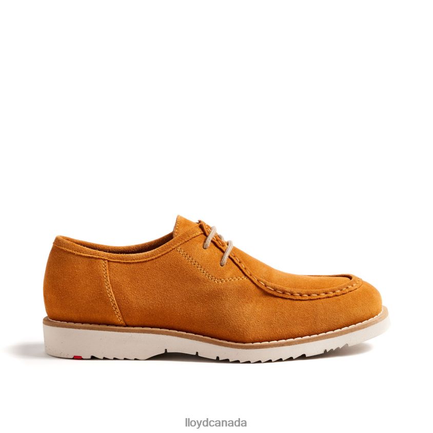 LEVI LLOYD Men yellow R084ZF1322 Shoes