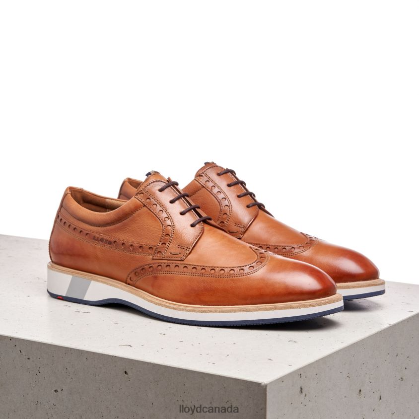 NAFIR LLOYD Men brown R084ZF247 Shoes