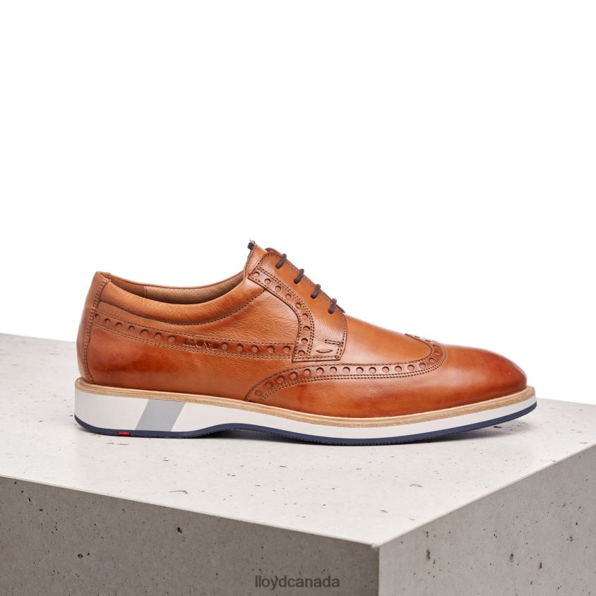 NAFIR LLOYD Men brown R084ZF247 Shoes