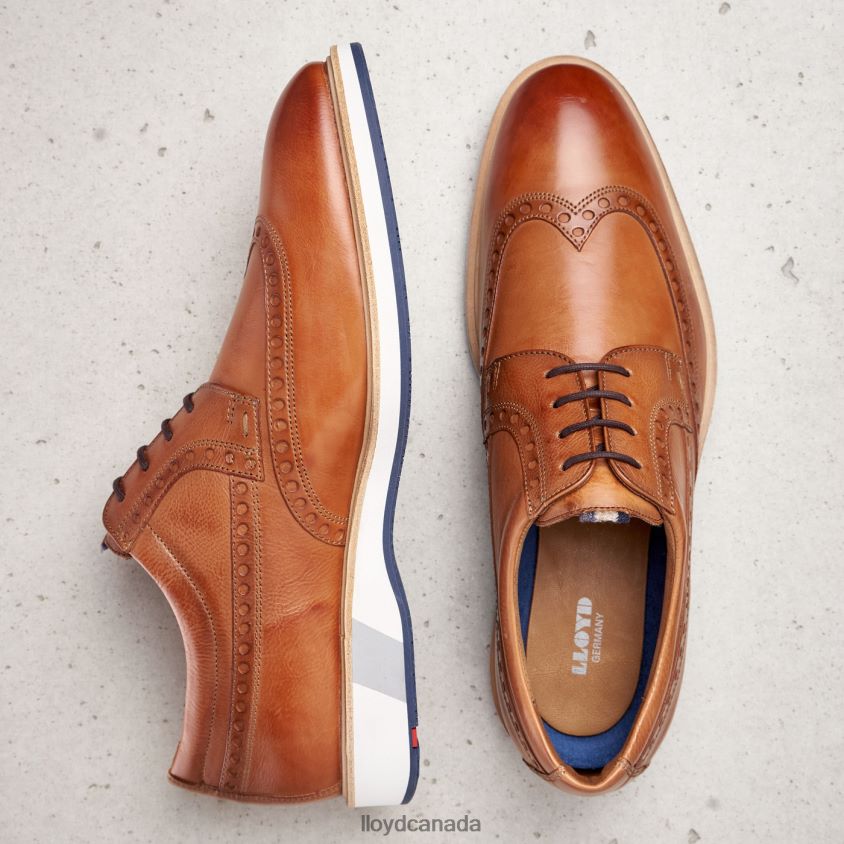 NAFIR LLOYD Men brown R084ZF247 Shoes