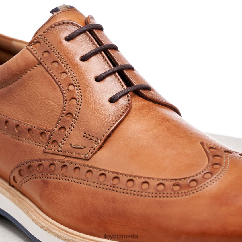 NAFIR LLOYD Men brown R084ZF247 Shoes