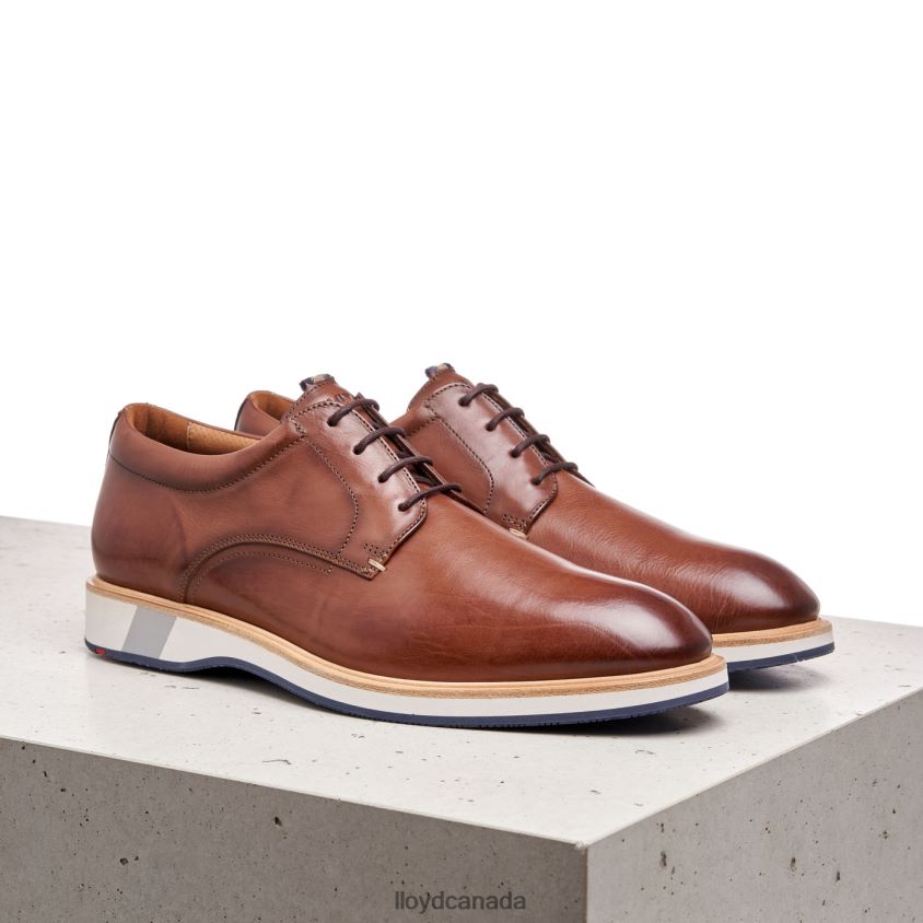 NEPTUN LLOYD Men brown R084ZF218 Shoes