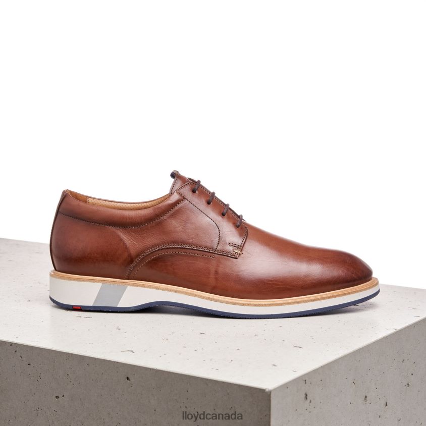 NEPTUN LLOYD Men brown R084ZF218 Shoes