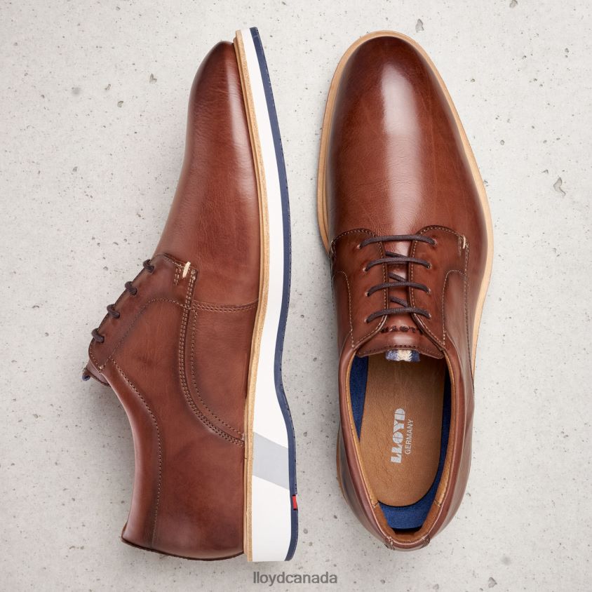 NEPTUN LLOYD Men brown R084ZF218 Shoes