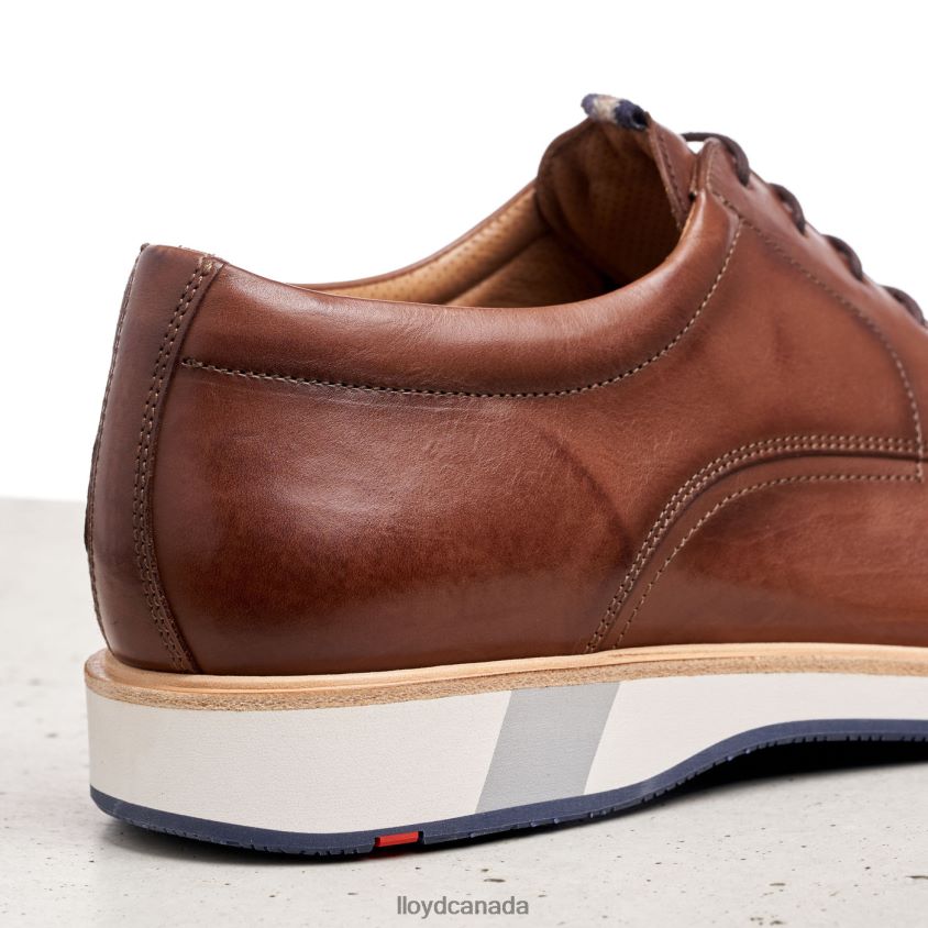 NEPTUN LLOYD Men brown R084ZF218 Shoes
