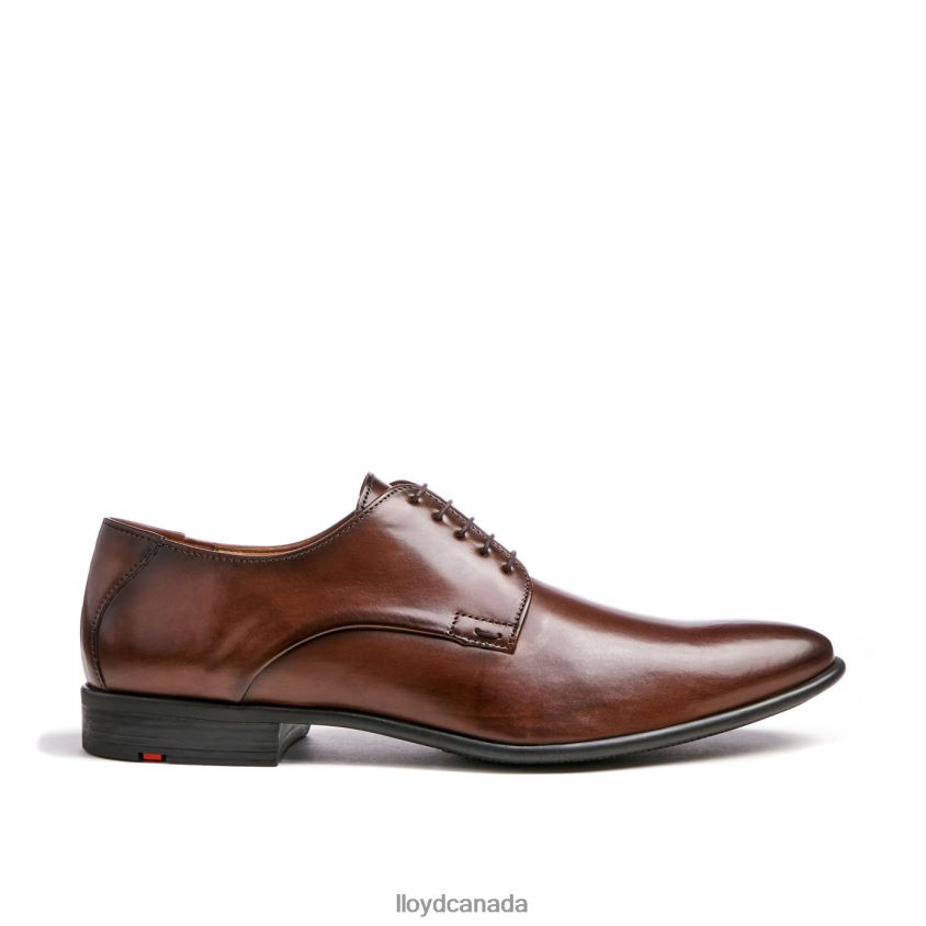 NIK LLOYD Men brown R084ZF127 Shoes