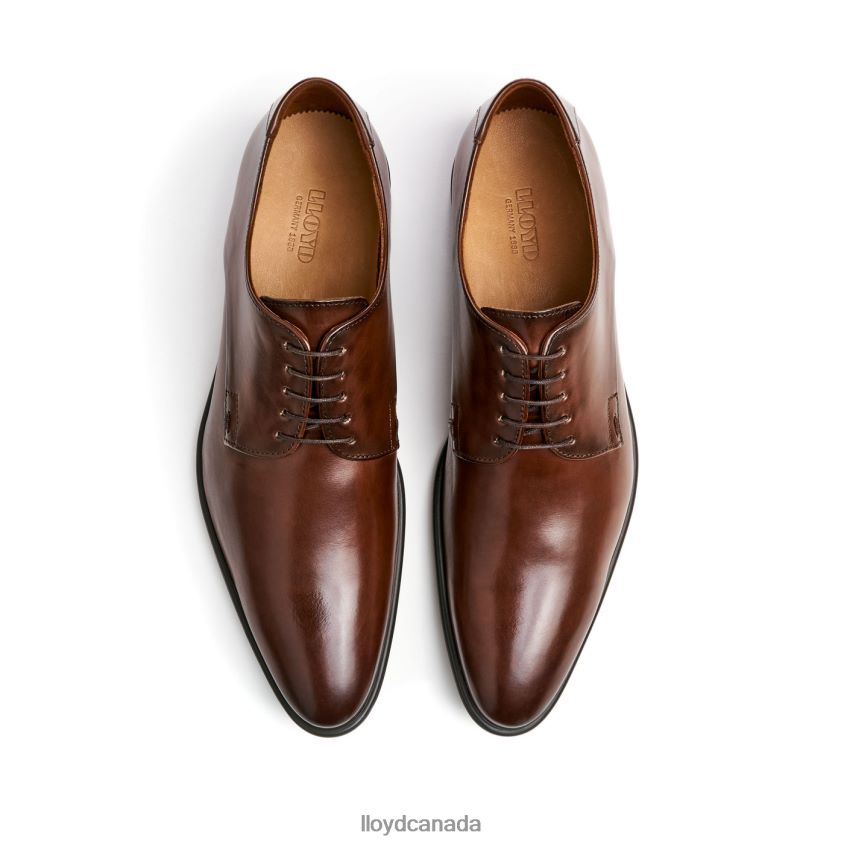 NIK LLOYD Men brown R084ZF127 Shoes