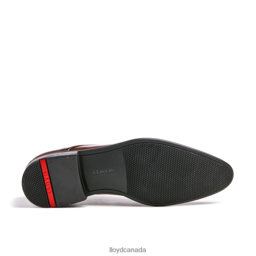NIK LLOYD Men brown R084ZF127 Shoes