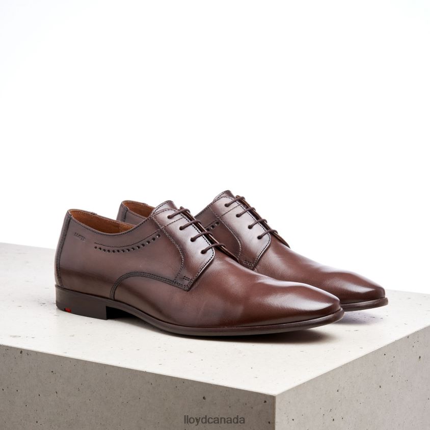 OCAS LLOYD Men brown R084ZF575 Shoes
