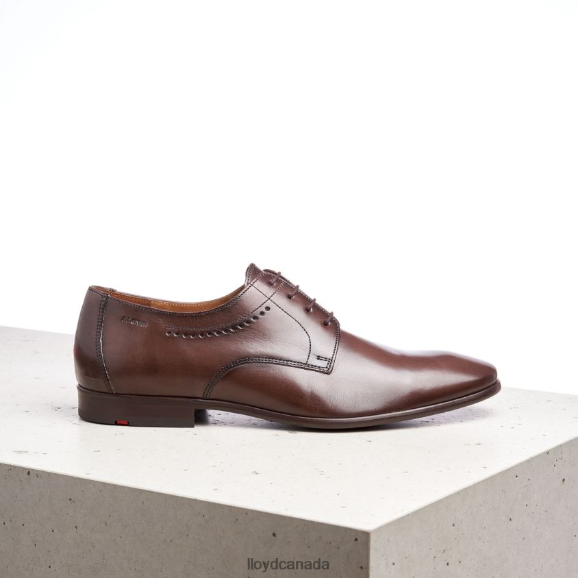 OCAS LLOYD Men brown R084ZF575 Shoes