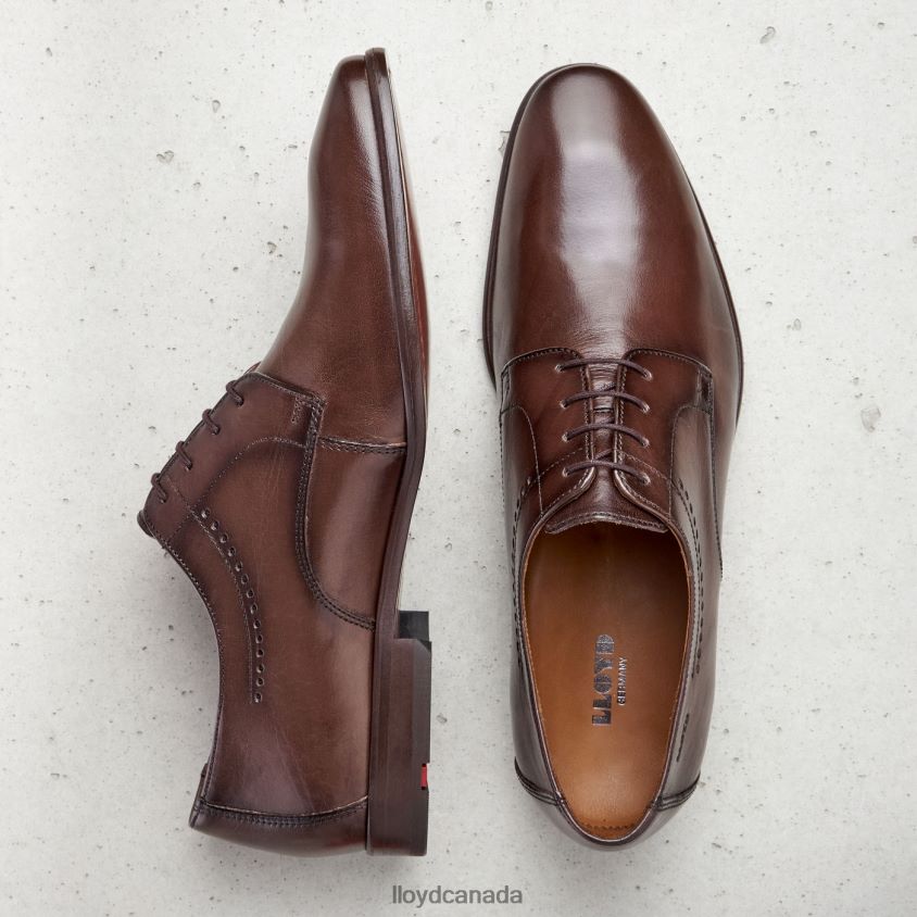 OCAS LLOYD Men brown R084ZF575 Shoes
