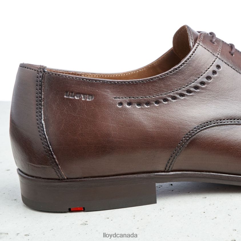 OCAS LLOYD Men brown R084ZF575 Shoes