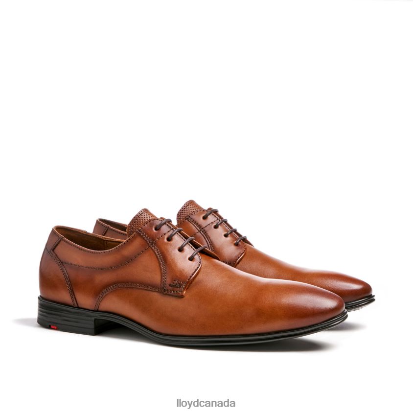 OSMOND LLOYD Men brown R084ZF84 Shoes