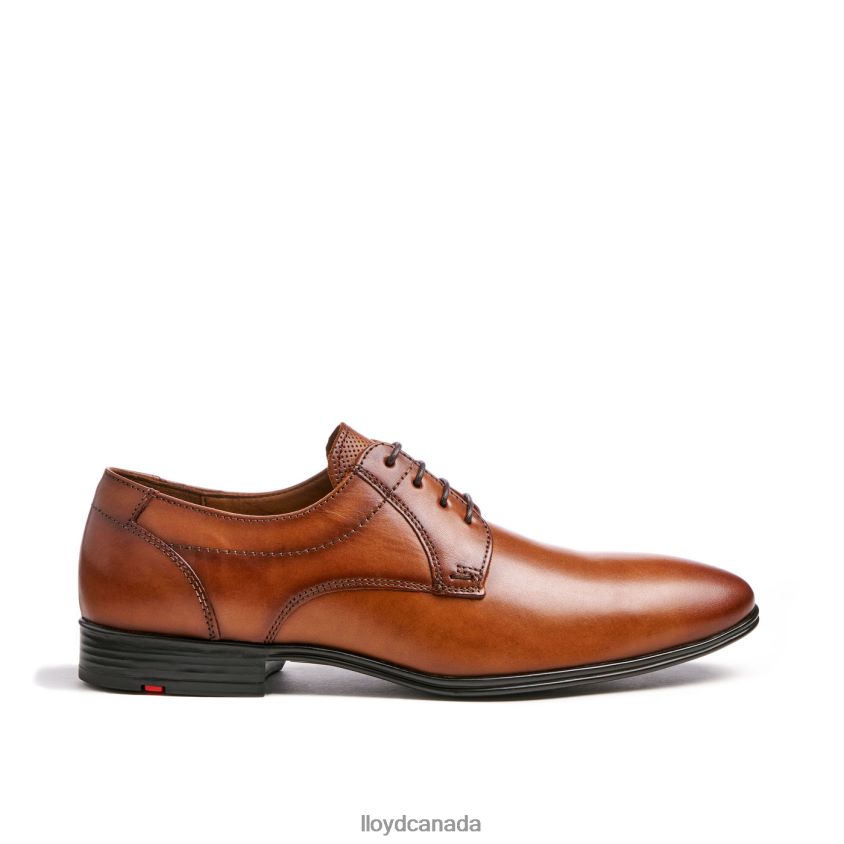 OSMOND LLOYD Men brown R084ZF84 Shoes