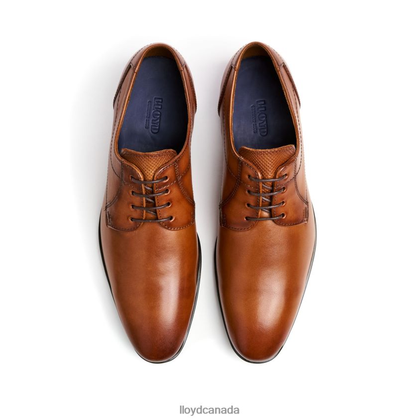 OSMOND LLOYD Men brown R084ZF84 Shoes