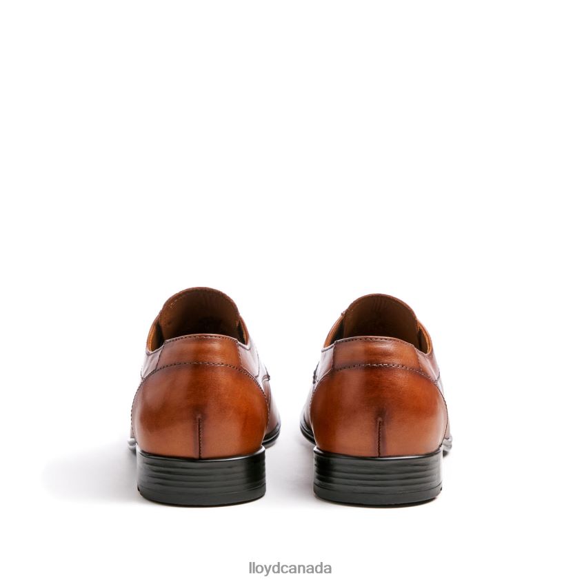 OSMOND LLOYD Men brown R084ZF84 Shoes