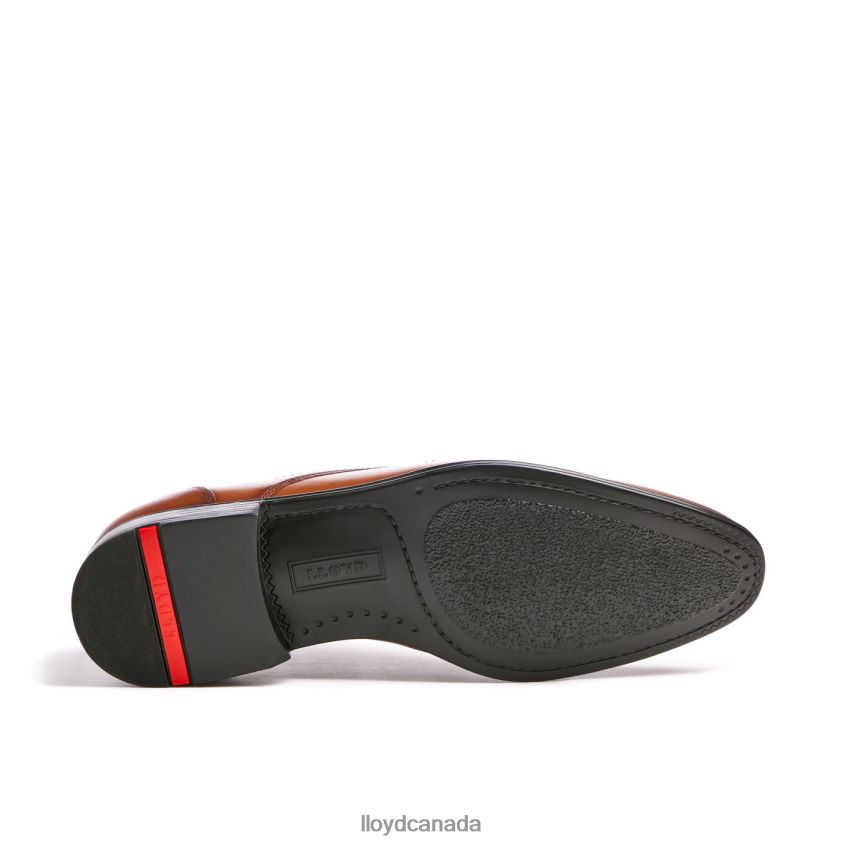 OSMOND LLOYD Men brown R084ZF84 Shoes