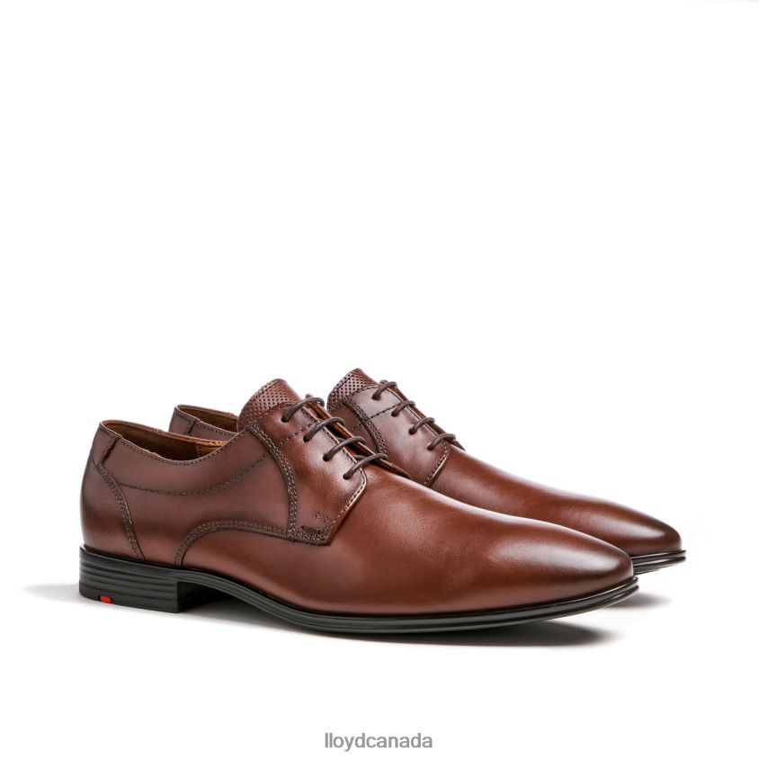 OSMOND LLOYD Men brown R084ZF85 Shoes