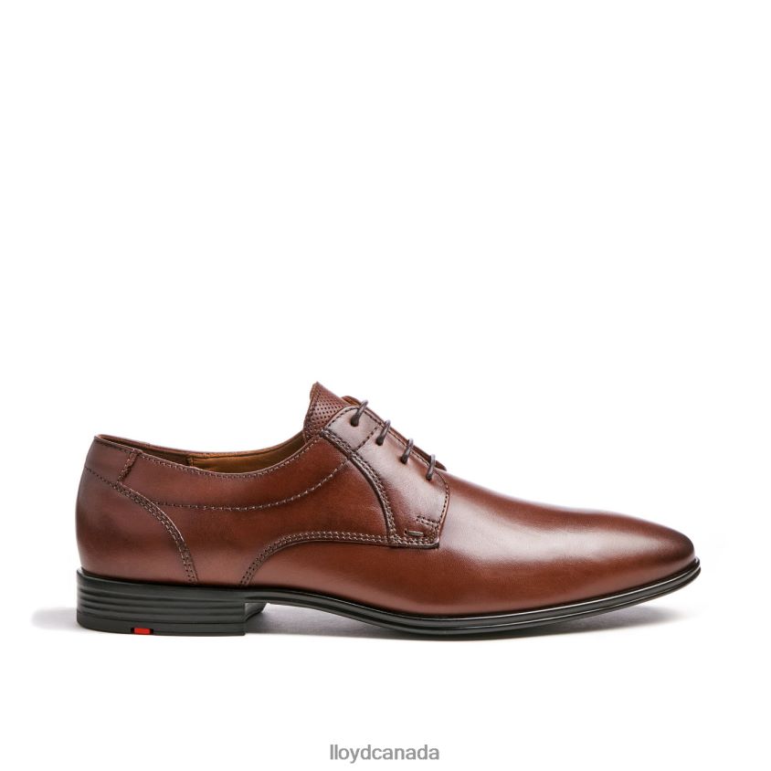 OSMOND LLOYD Men brown R084ZF85 Shoes