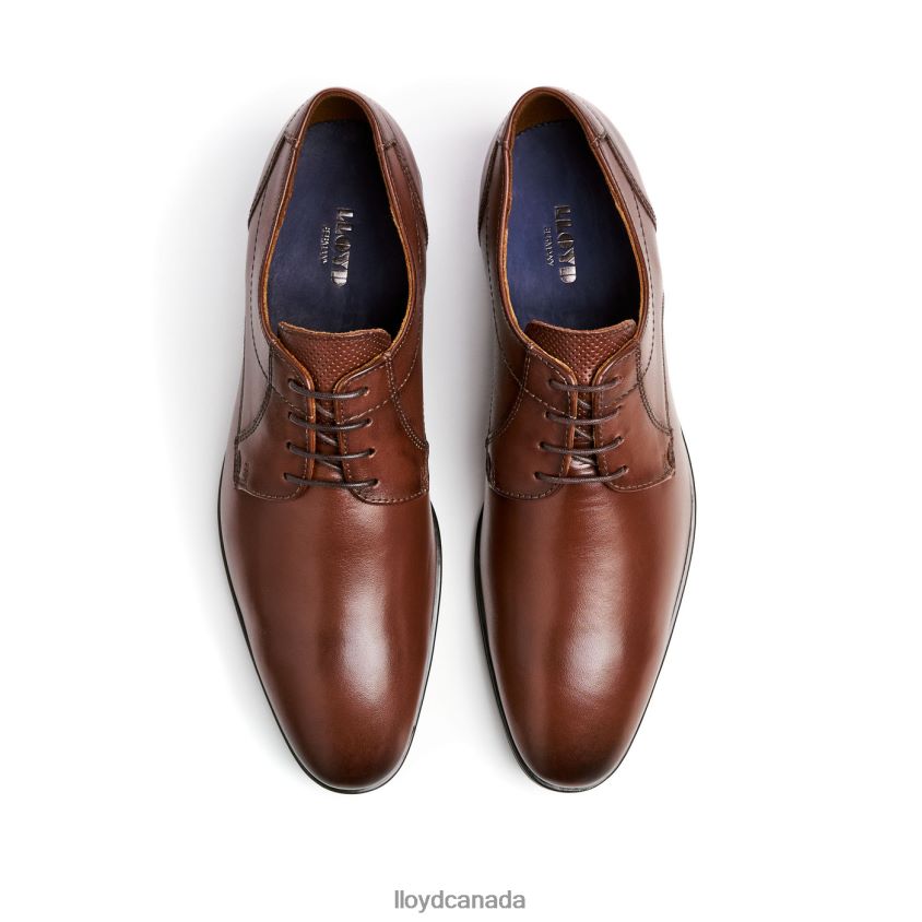 OSMOND LLOYD Men brown R084ZF85 Shoes