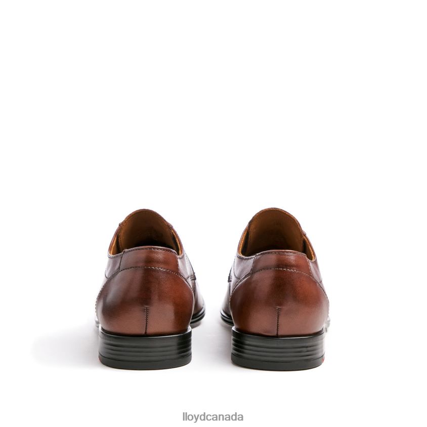 OSMOND LLOYD Men brown R084ZF85 Shoes