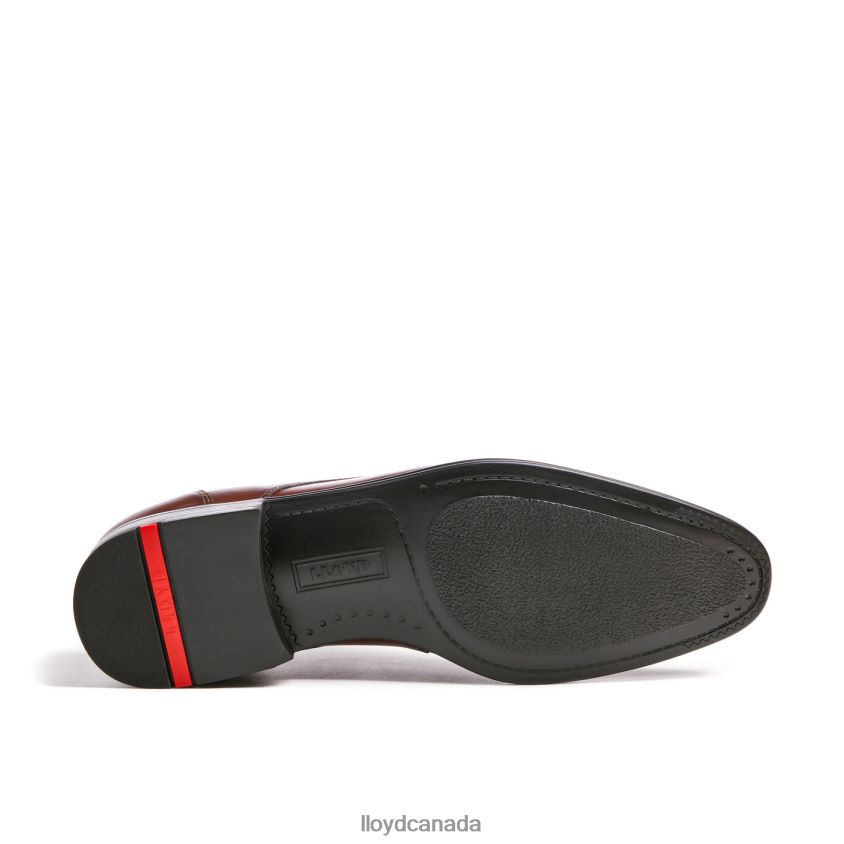 OSMOND LLOYD Men brown R084ZF85 Shoes