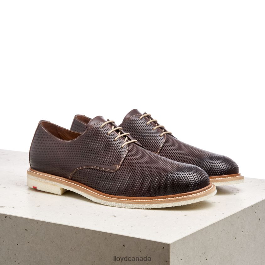 PALMA LLOYD Men brown R084ZF226 Shoes