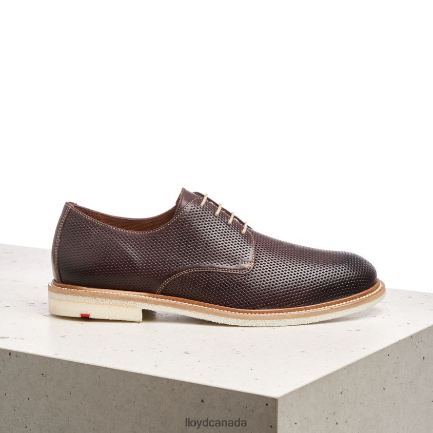 PALMA LLOYD Men brown R084ZF226 Shoes