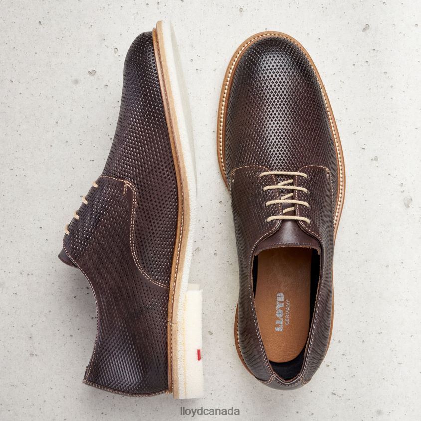 PALMA LLOYD Men brown R084ZF226 Shoes