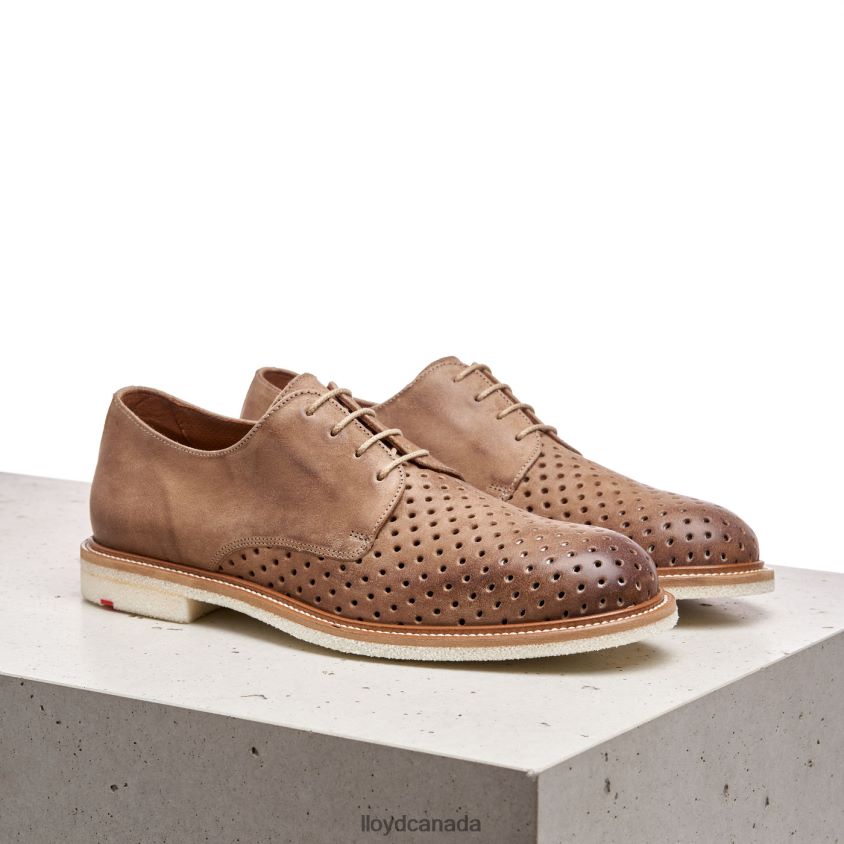 PARKER LLOYD Men brown R084ZF213 Shoes