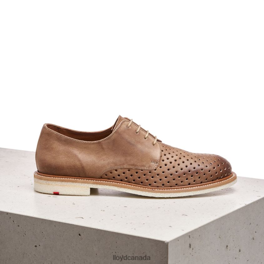 PARKER LLOYD Men brown R084ZF213 Shoes