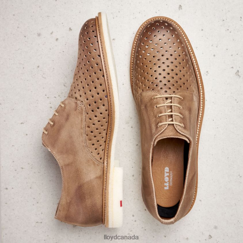 PARKER LLOYD Men brown R084ZF213 Shoes