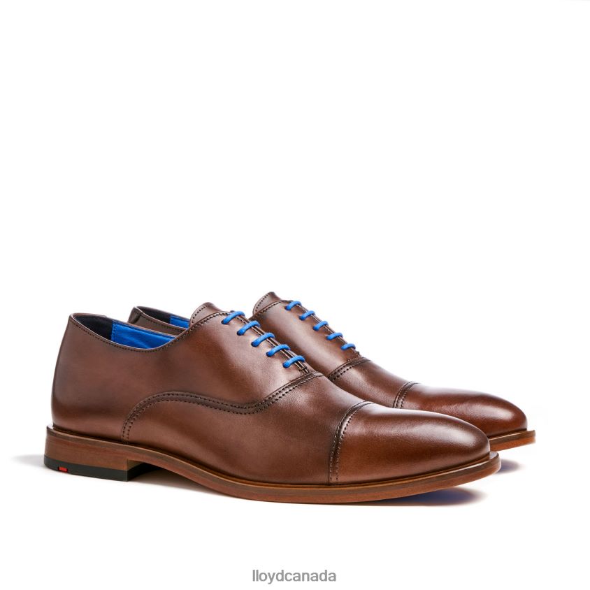ROB LLOYD Men brown R084ZF130 Shoes