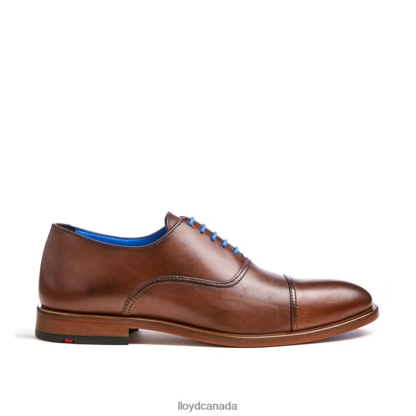 ROB LLOYD Men brown R084ZF130 Shoes