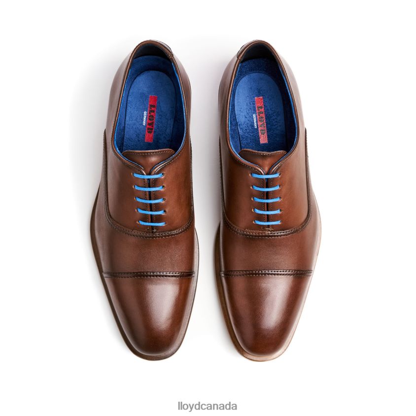 ROB LLOYD Men brown R084ZF130 Shoes