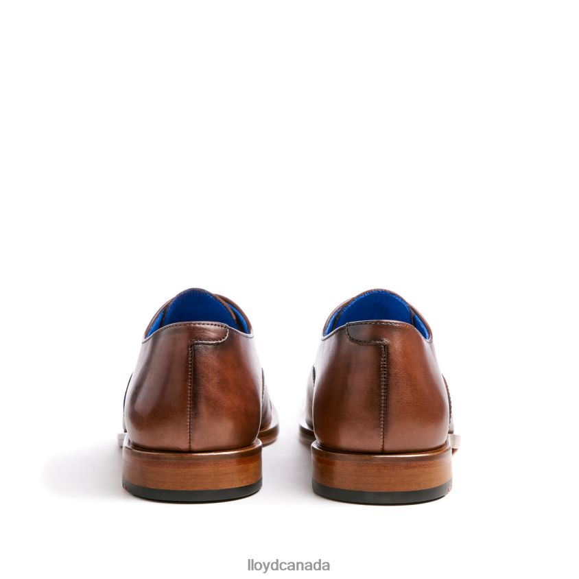 ROB LLOYD Men brown R084ZF130 Shoes